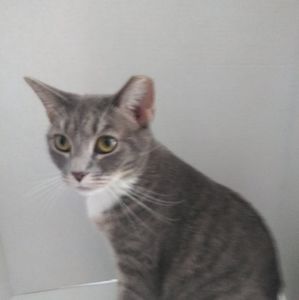 Meet your Posher, Cary